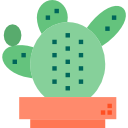 cactus icon