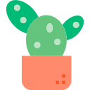 cactus icon