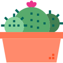 cactus icon