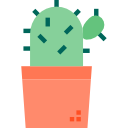 cactus icon