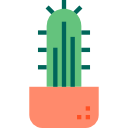 cactus icon