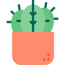 cactus icon