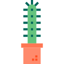 cactus icon