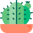 cactus icon