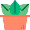 cactus icon