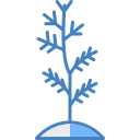 plantar arbol icon