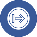 flecha correcta icon