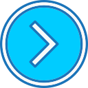 flecha correcta icon