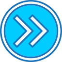 flecha correcta icon