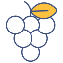 uvas icon