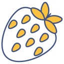 fresa icon