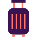 bolsa icon