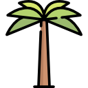 palmera