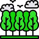 bosque icon