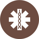 signo medico icon