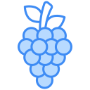 uvas icon