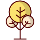 Árbol