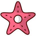 estrella de mar icon