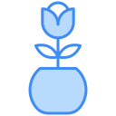 media luna icon