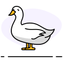 pato