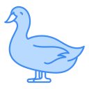 pato icon