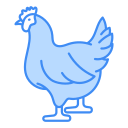 pollo icon