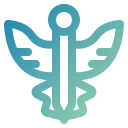 caduceo icon