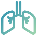 pulmones icon