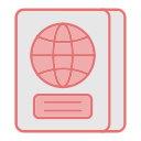 pasaporte icon