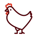 pollo icon