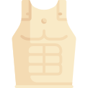 Armour 