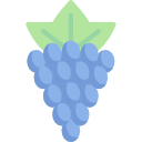 포도 icon