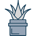 aloe vera icon