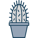 cactus icon