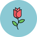 rosa icon