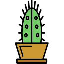 cactus icon