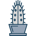 cactus icon