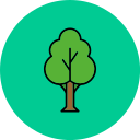 Árbol icon