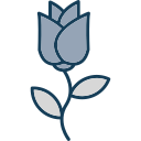 rosa icon