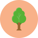 Árbol