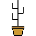 cactus icon