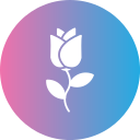 rosa icon