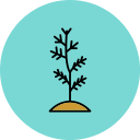 plantar arbol icon