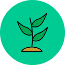 planta icon