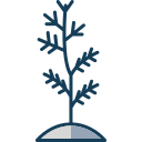 plantar arbol icon