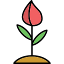 capullo de la flor icon