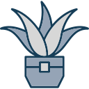 aloe vera icon