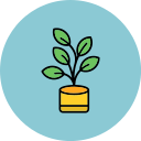 ficus icon