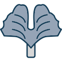 ginkgo biloba icon