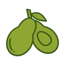 palta